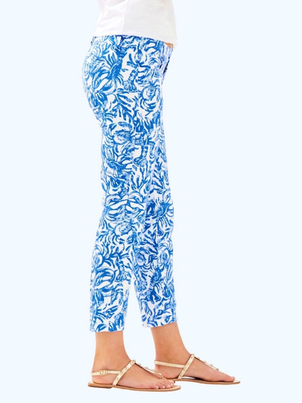 Lilly Pulitzer Blue & White Printed pants